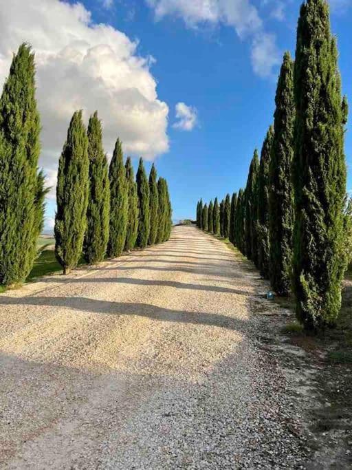 Toscana Amore Mio, Stunning View & 14Min Volterra Montecatini Val di Cecina Exteriör bild