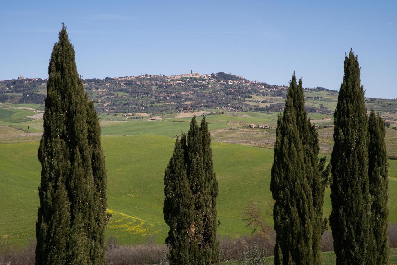 Toscana Amore Mio, Stunning View & 14Min Volterra Montecatini Val di Cecina Exteriör bild
